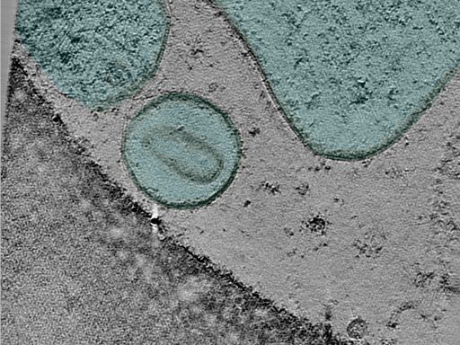 key visualization for 25oct01a_Position_99_3