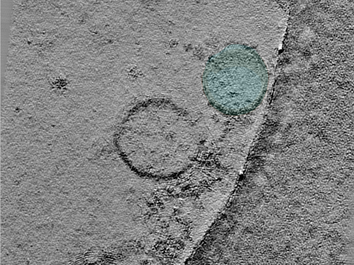 key visualization for 25oct01a_Position_9_2