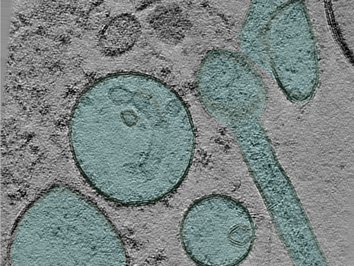 key visualization for 25oct01a_Position_9_3