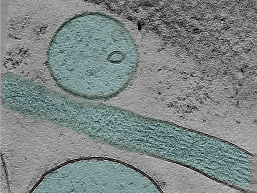 key visualization for 25oct01a_Position_9_4