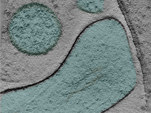 key visualization for 25oct01a_Position_9_5