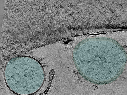 key visualization for 25oct01a_Position_9_7