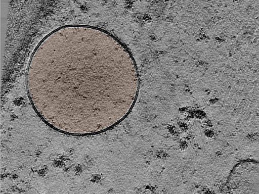 key visualization for 25jun16a_Position_28_2