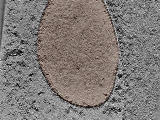 key visualization for 25jun16a_Position_30