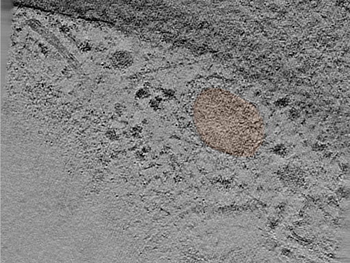 key visualization for 25jun16a_Position_31_2