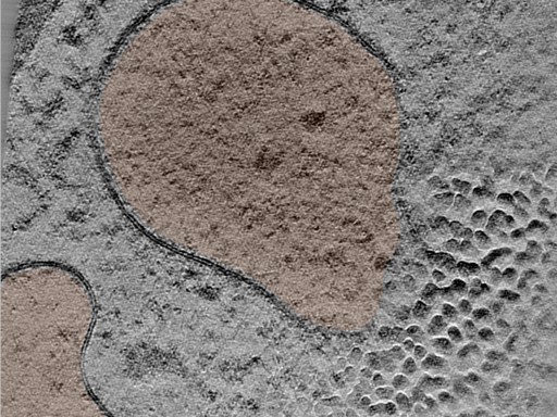 key visualization for 25jun16a_Position_33