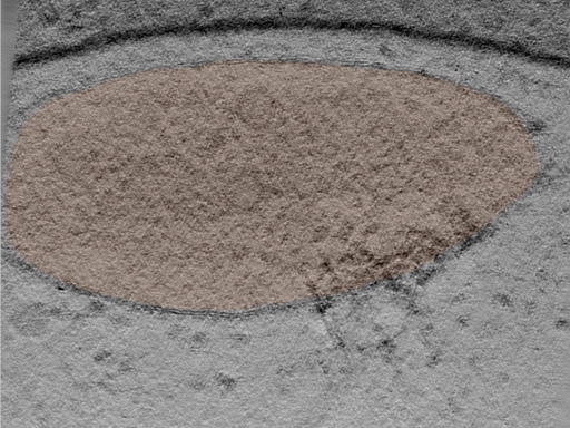 key visualization for 25jun16a_Position_34