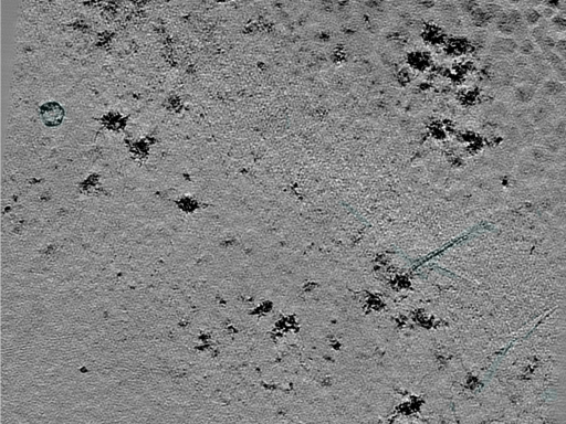 key visualization for 25jul02a_Position_10_4