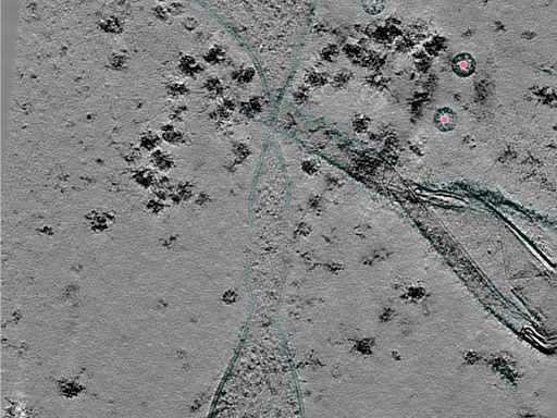 key visualization for 25jul02a_Position_11_3