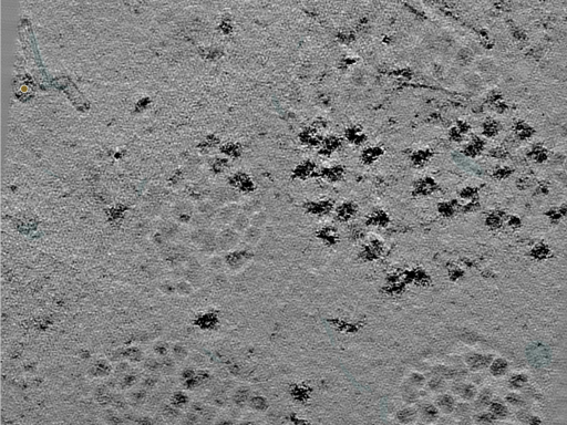 key visualization for 25jul02a_Position_11_4