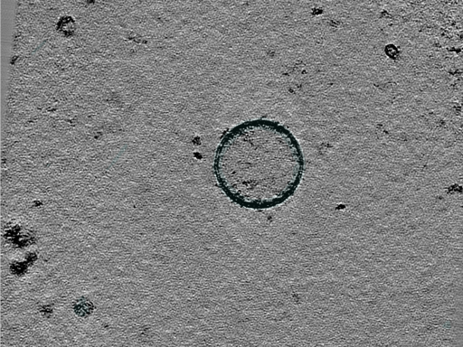 key visualization for 25jul02a_Position_1_2