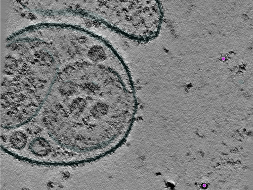 key visualization for 25jul16a_Position_1
