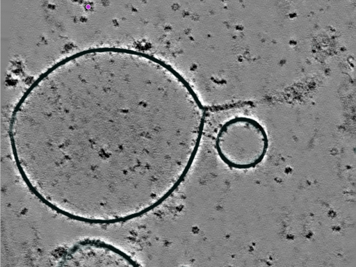 key visualization for 25jul16a_Position_100