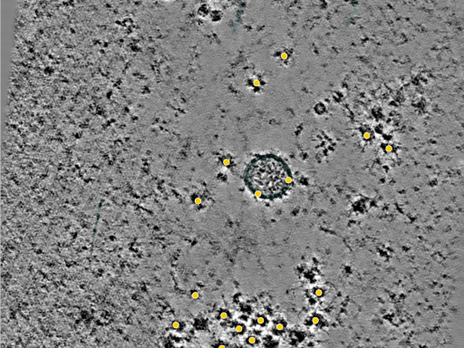 key visualization for 25jul16a_Position_108