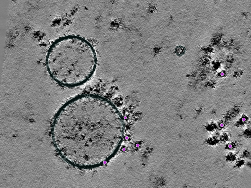 key visualization for 25jul16a_Position_109