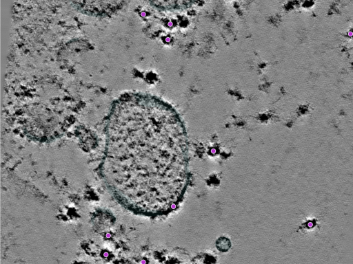 key visualization for 25jul16a_Position_11
