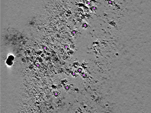 key visualization for 25jul16a_Position_113