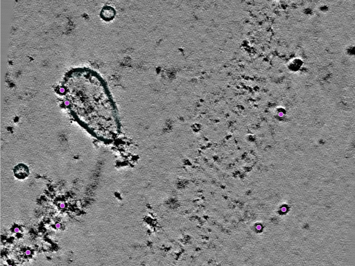 key visualization for 25jul16a_Position_12