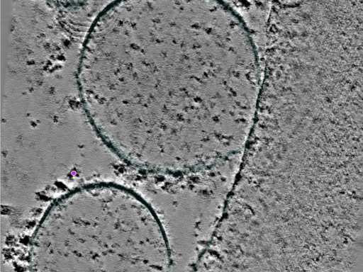 key visualization for 25jul16a_Position_99