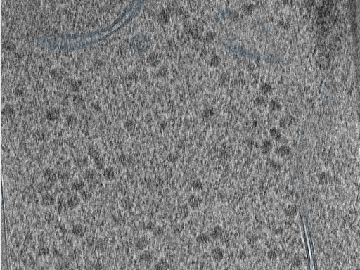 key visualization for 210610_Lamela1_Position_36