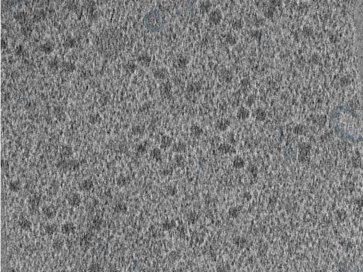 key visualization for 210610_Lamela1_Position_38