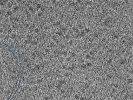 key visualization for 210610_Lamela1_Position_42