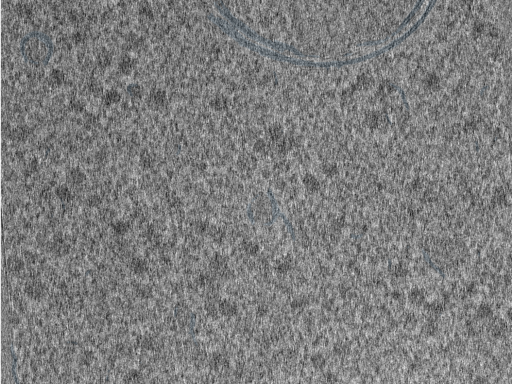 key visualization for 210610_Lamela2_Position_28