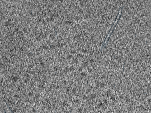 key visualization for 210610_Lamela2_Position_30