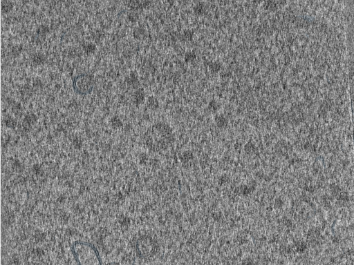 key visualization for 210610_Lamela2_Position_33