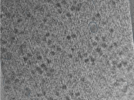 key visualization for Cryo-FIB milled S. cerevisiae lamellas without post-milling platinum sputter coating