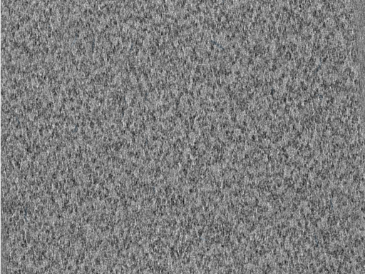 key visualization for 210614_lamella11_Position_51