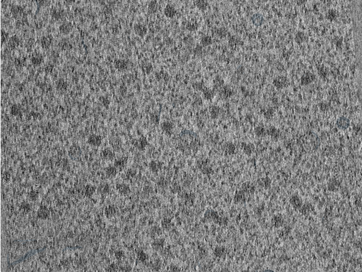 key visualization for 210614_lamella1_Position_13