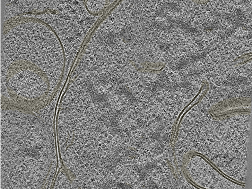 key visualization for 20221005_P1_ts_002