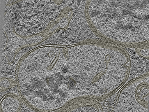 key visualization for 20221005_P1_ts_004