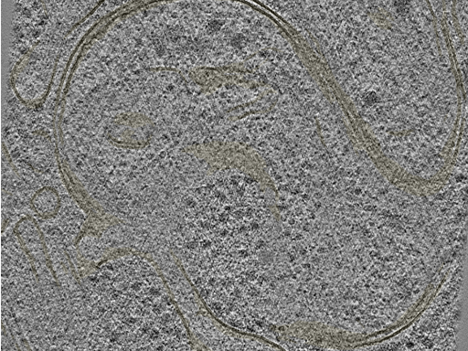 key visualization for 20221005_P1_ts_005