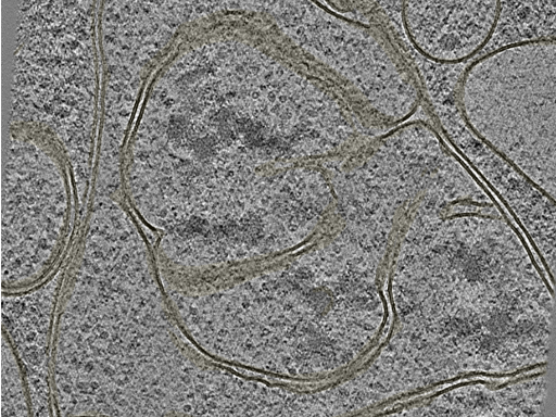 key visualization for 20221005_P2_ts_004