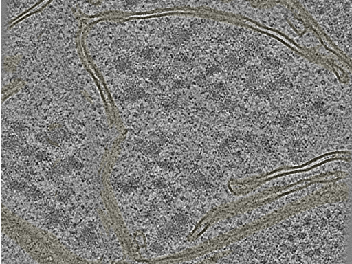 key visualization for 20221005_P2_ts_005