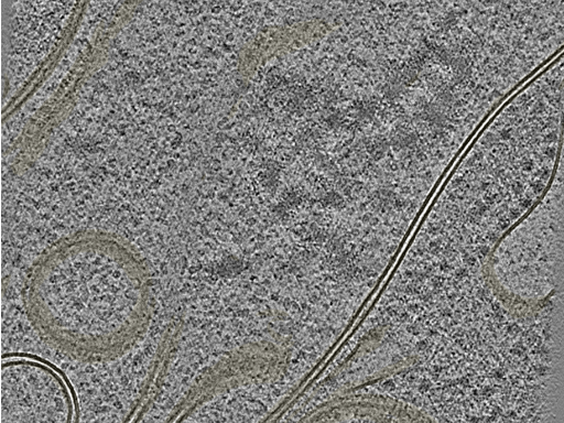 key visualization for 20221005_P2_ts_006