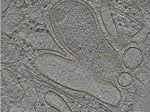 key visualization for 20221005_P3_ts_004