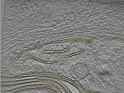 key visualization for 20221005_P3_ts_005