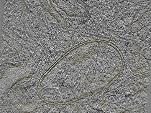 key visualization for 20221005_P3_ts_007