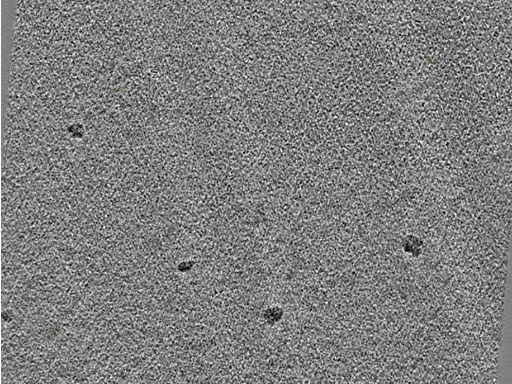 key visualization for 20220718_P10_ts_002