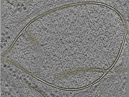 key visualization for 20220718_P11_ts_009