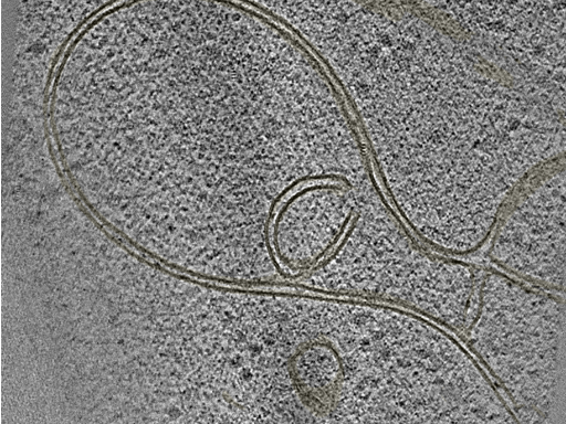 key visualization for 20220718_P12_ts_002