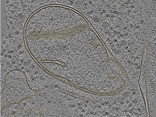 key visualization for 20230404_P7_ts_002