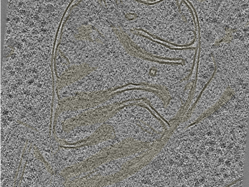 key visualization for 20230404_P7_ts_003