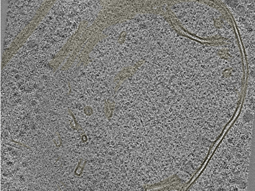 key visualization for 20230404_P7_ts_004