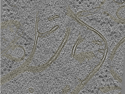 key visualization for 20230404_P7_ts_005