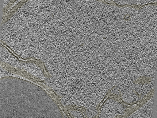 key visualization for 20230404_P7_ts_006