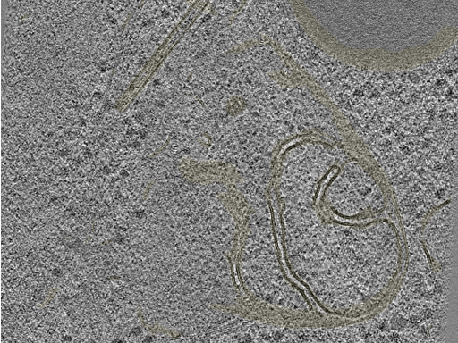 key visualization for 20230404_P7_ts_007